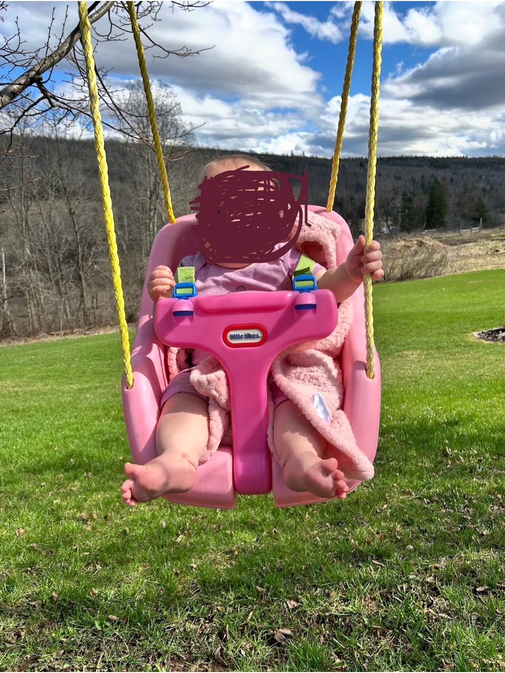 Little Tikes Pink Toddler Swing Seat with Safety T-Bar